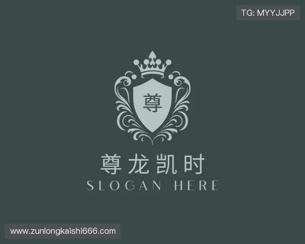 介绍尊龙凯时